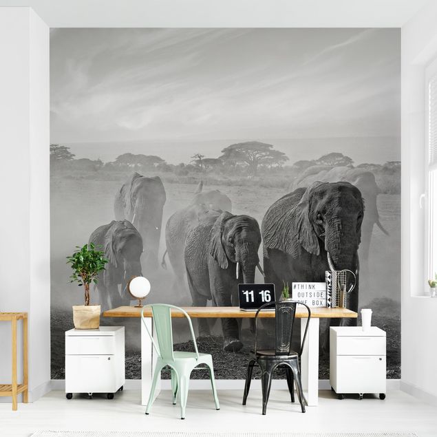 Wallpaper - Herd Of Elephants