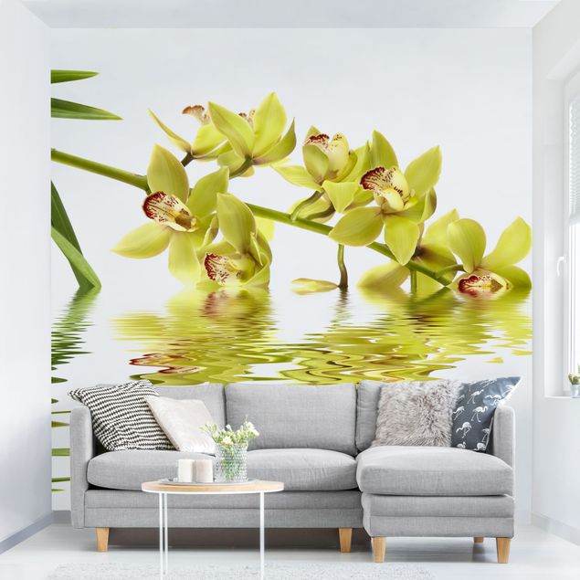 Wallpapers Elegant Orchid Waters