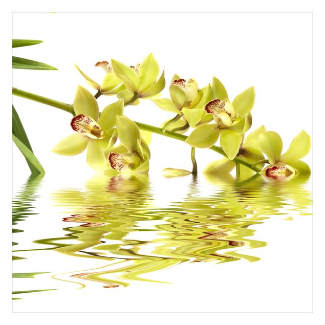 Wallpaper - Elegant Orchid Waters