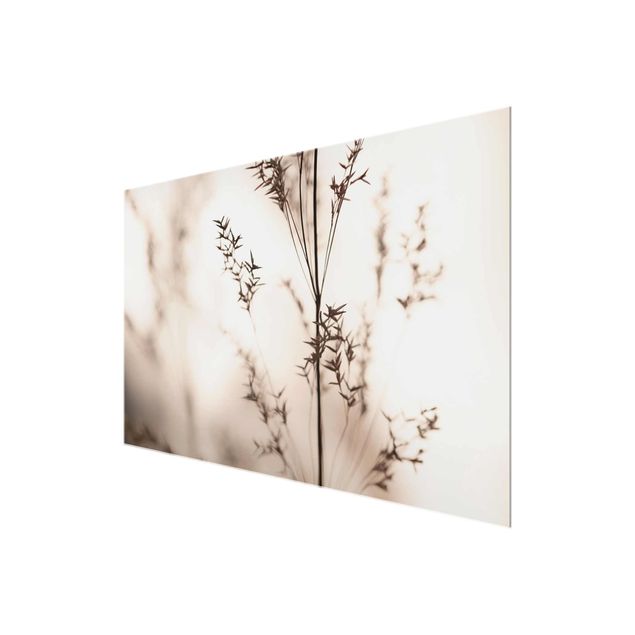 Glass print - Elegant Grass In The Shadow