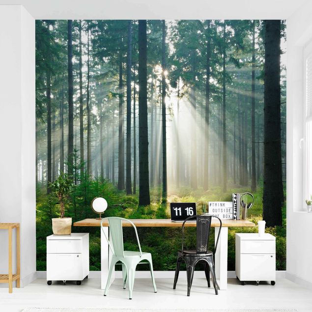 Wallpaper - Enlightened Forest