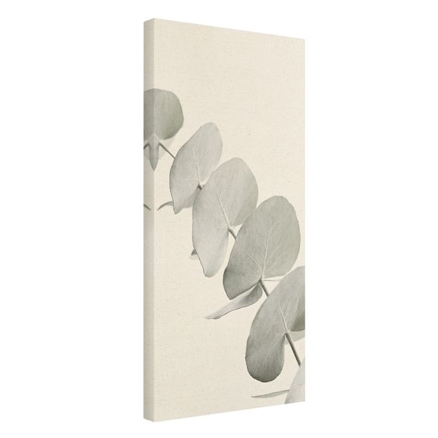 Natural canvas print - Eucalyptus Branch In White Light - Portrait format 1:2