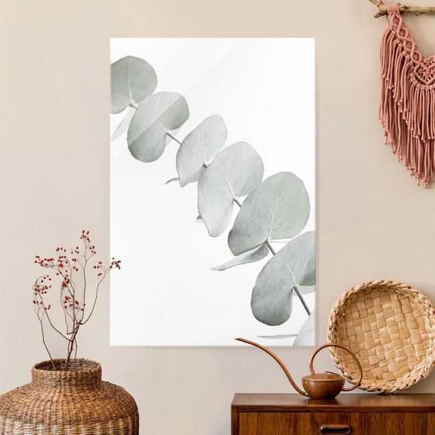 Glas Magnetboard Eucalyptus Branch In White Light