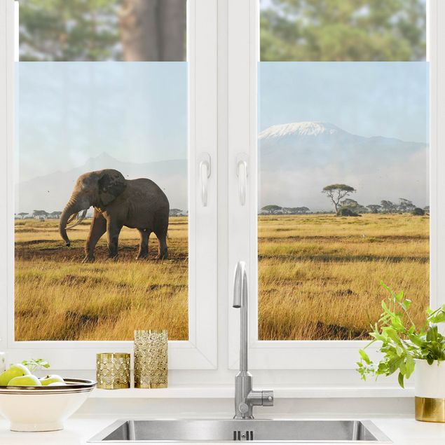 Window decoration - Elephants In Front Of The Kilimanjaro In Kenya