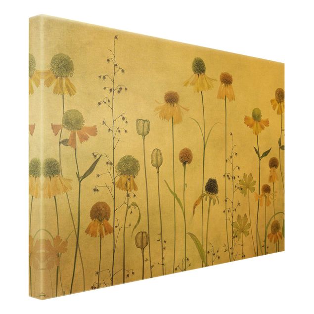 Canvas print gold - Delicate Helenium Flowers