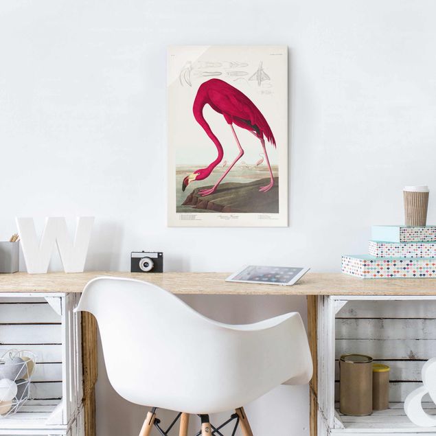 Glass print - Vintage Board American Flamingo