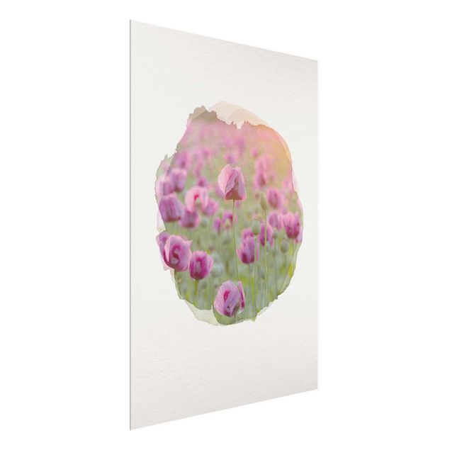 Glass print - WaterColours - Violet Poppy Flowers Meadow In Spring