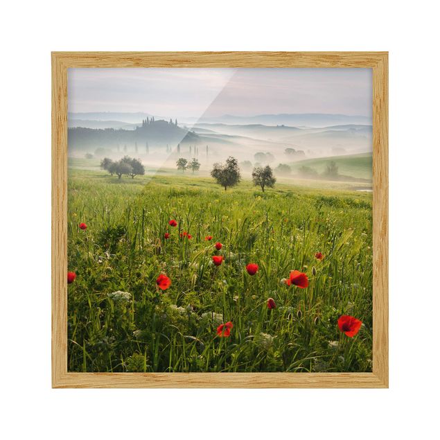 Framed poster - Tuscan Spring