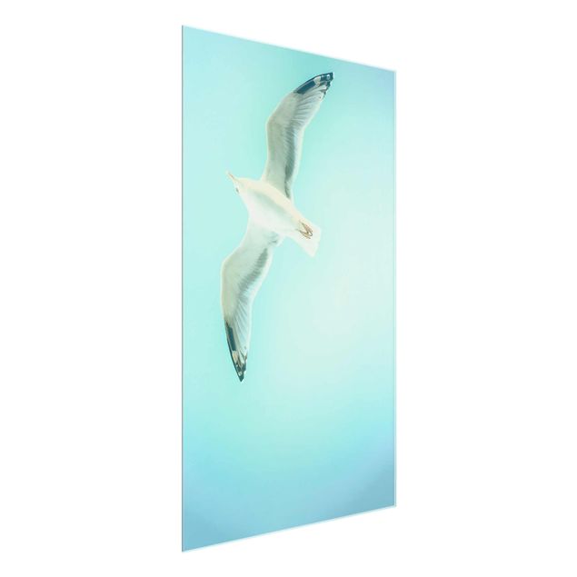 Glass print - Blue Sky With Seagull