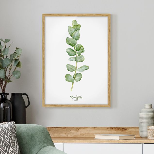 Framed poster - Watercolour Botany Eucalyptus