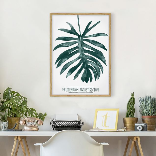 Framed poster - Emerald Philodendron Angustisectum