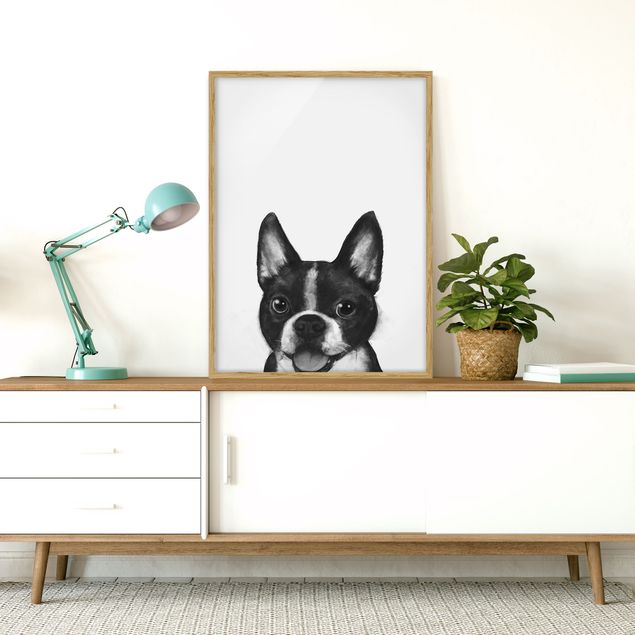 Framed poster - Illustration Dog Boston Black And White Painting
