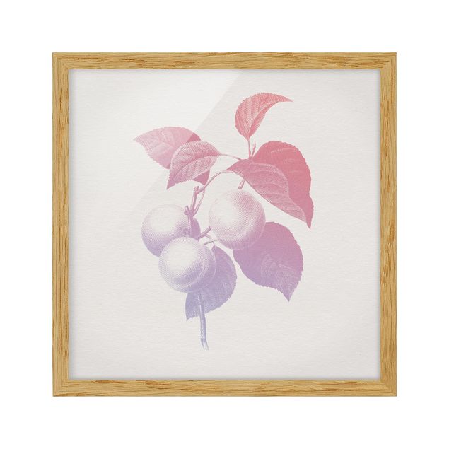 Framed poster - Modern Vintage Botanik Peach Light Pink Violet