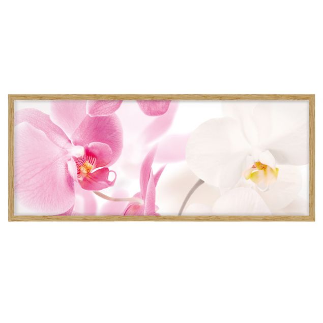 Framed poster - Delicate Orchids