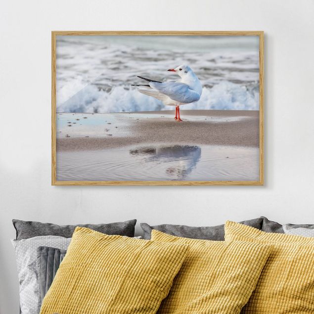 Framed poster - Seagull On The Beach In Front Of The Sea