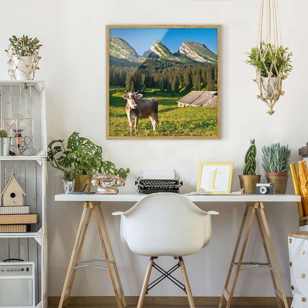 Framed poster - Swiss Alpine Meadow With Cow