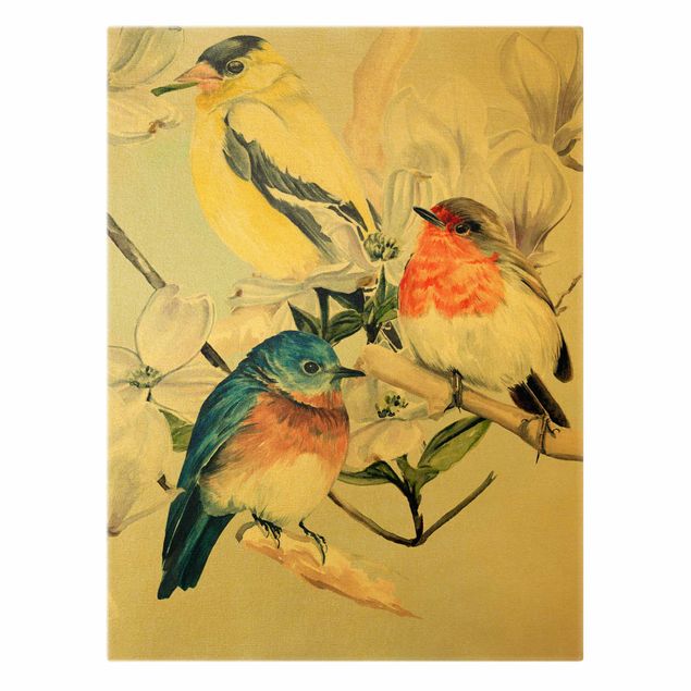 Canvas print gold - Clolourful Birds On The Branch Of A Magnolia II