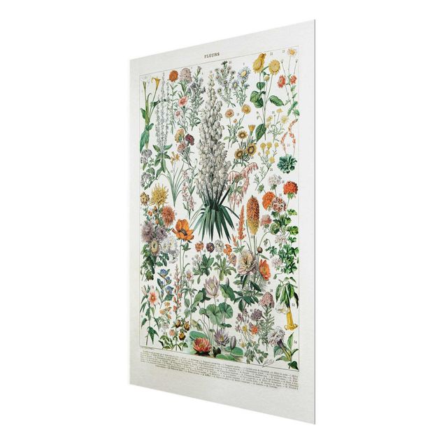 Glass print - Vintage Board Flowers I