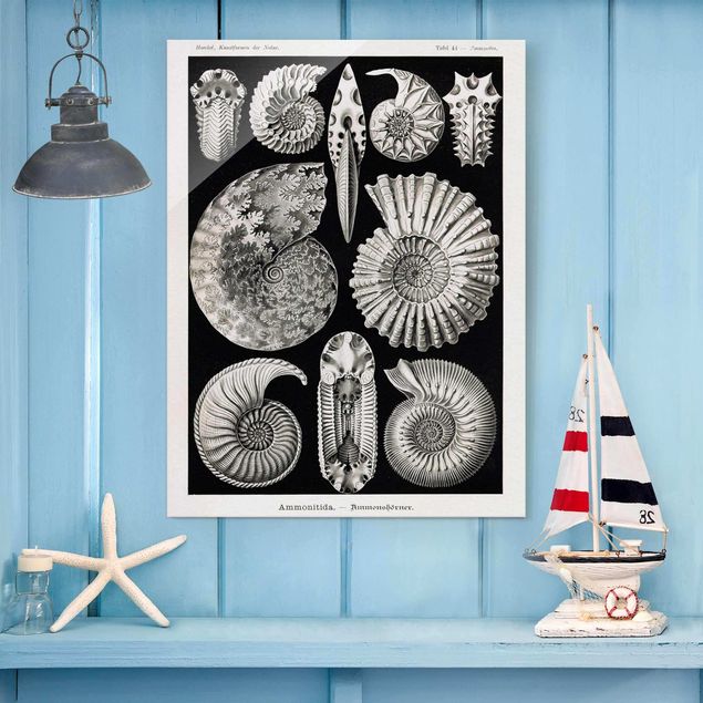 Glass print - Vintage Board Fossils Black And White