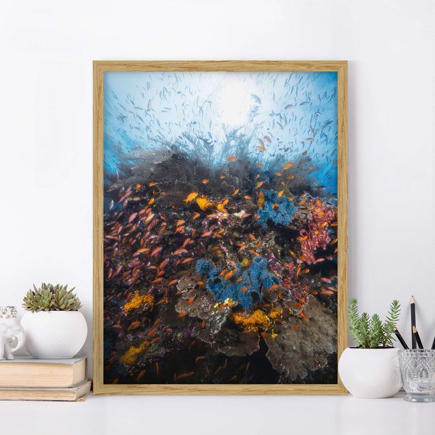 Framed poster - Lagoon With Fish
