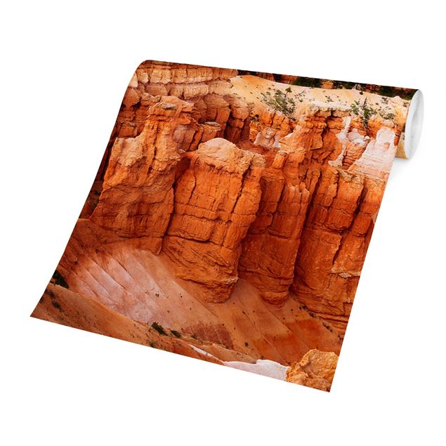 Wallpaper - Blaze Of Colour Of The Grand Canyon