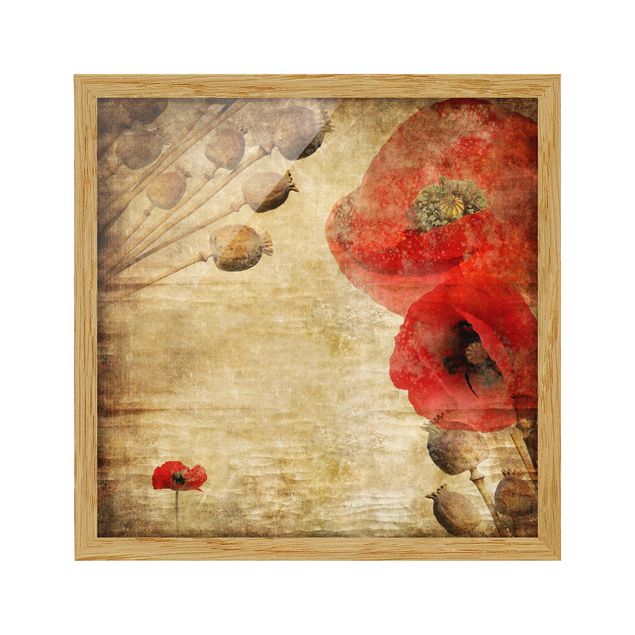 Framed poster - Poppy Flower