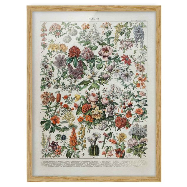 Framed poster - Vintage Board Flowers II
