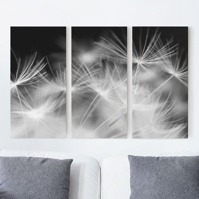 Print on canvas 3 parts - Moving Dandelions Close Up On Black Background
