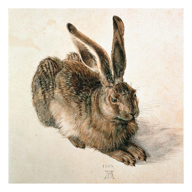 Glass print - Albrecht Dürer - Young Hare
