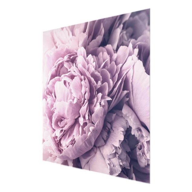 Glass print - Purple Peony Blossoms