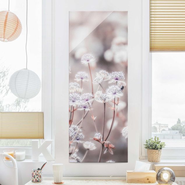 Magnettafel Glas Wild Flowers Light As A Feather