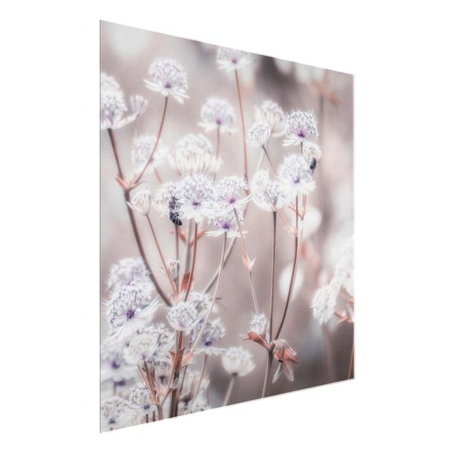 Glass print - Wild Flowers Light As A Feather