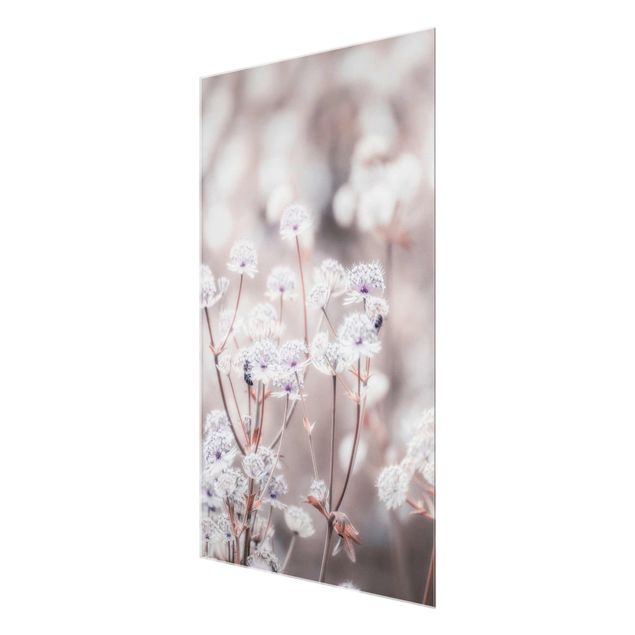 Glass print - Wild Flowers Light As A Feather