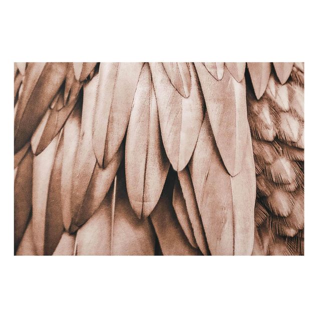 Glass print - Feathers In Rosegold
