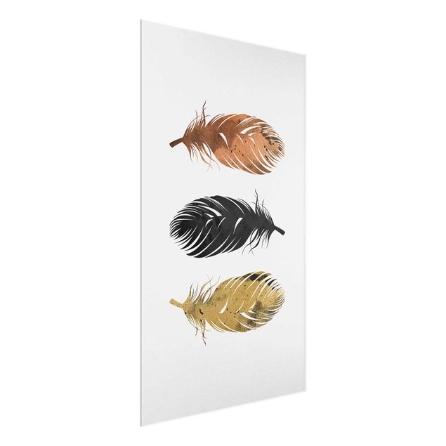 Glass print - Feathers