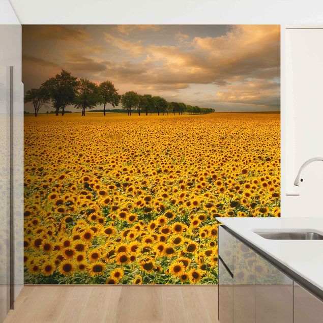 Wallpaper - Field With Sunflowers