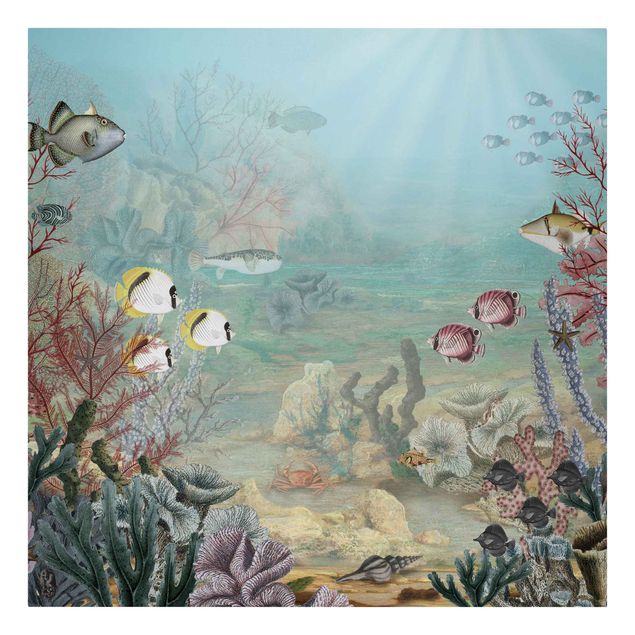 Print on canvas - View from afar in the coral reef - Square 1:1