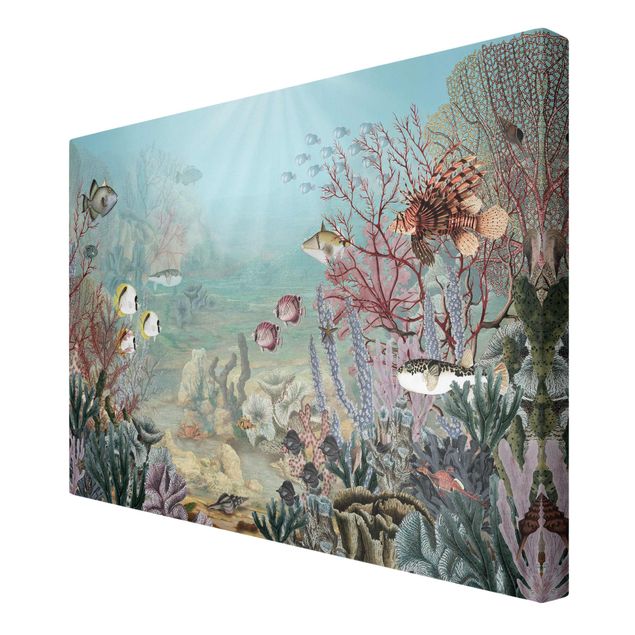 Print on canvas - View from afar in the coral reef - Landscape format 3:2