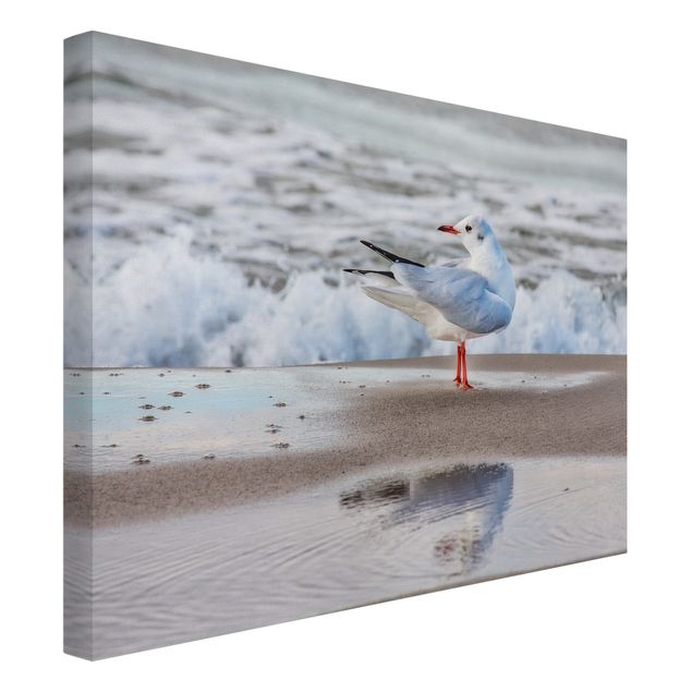 Print on canvas - Seagull On The Beach In Front Of The Sea