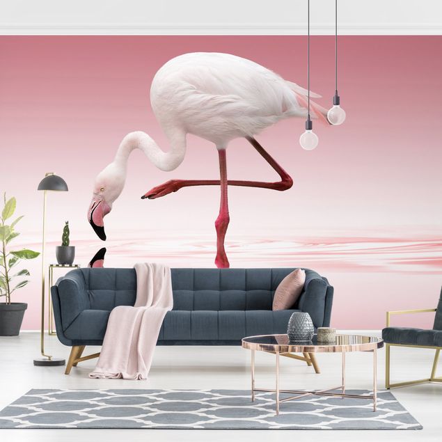 Wallpapers Flamingo Dance
