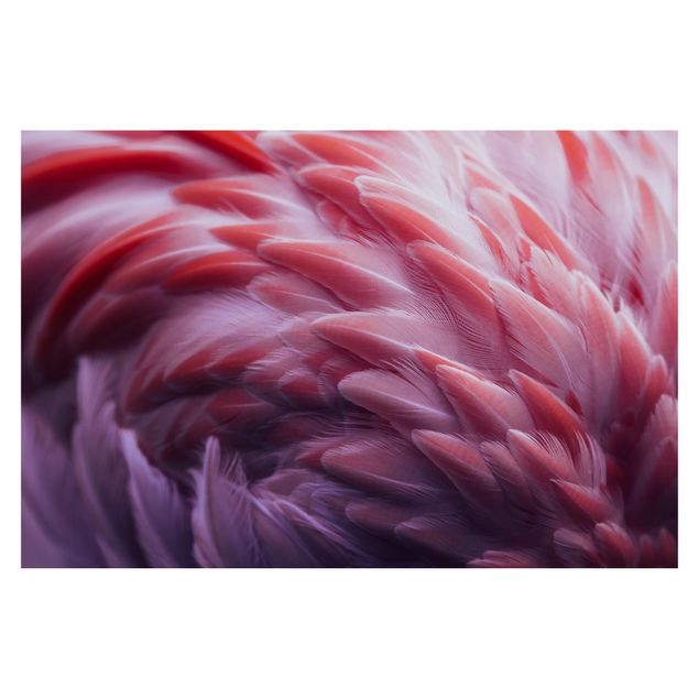 Walpaper - Flamingo Feathers Close-Up