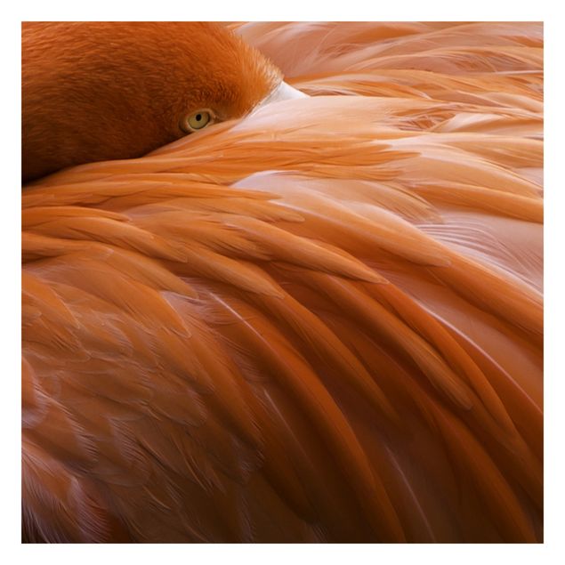 Wallpaper - Flamingo Feathers