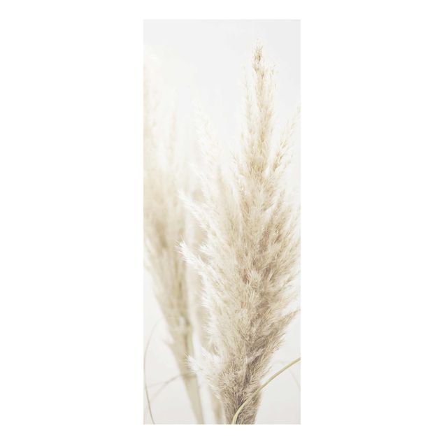 Glass print - Soft Pampas Grass
