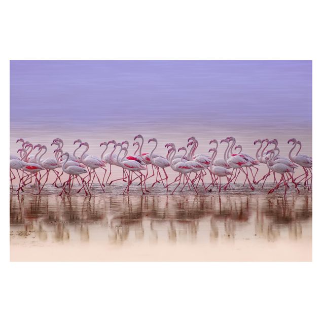 Wallpaper - Flamingo Party