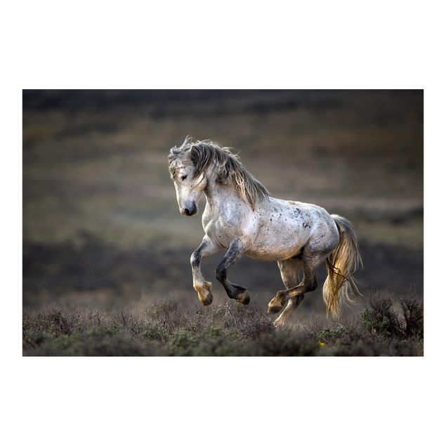 Wallpaper - Galloping Through The Heather