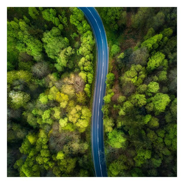 Wallpaper - Aerial View - Asphalt Road In The Forest