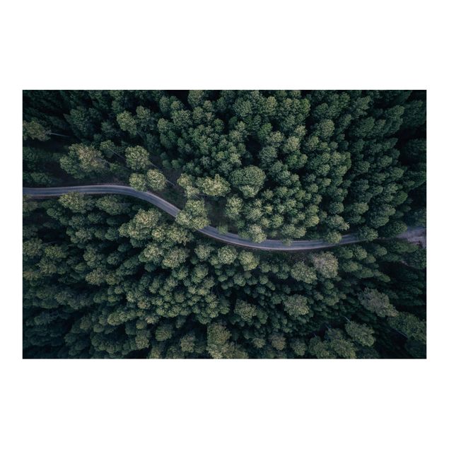 Wallpaper - Aerial View - Forest Road From The Top