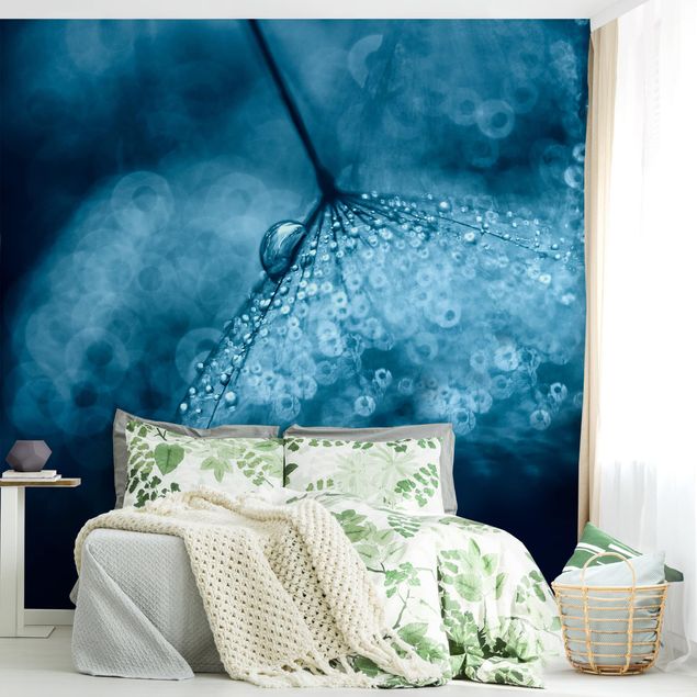 Wallpaper - Blue Dandelion In The Rain