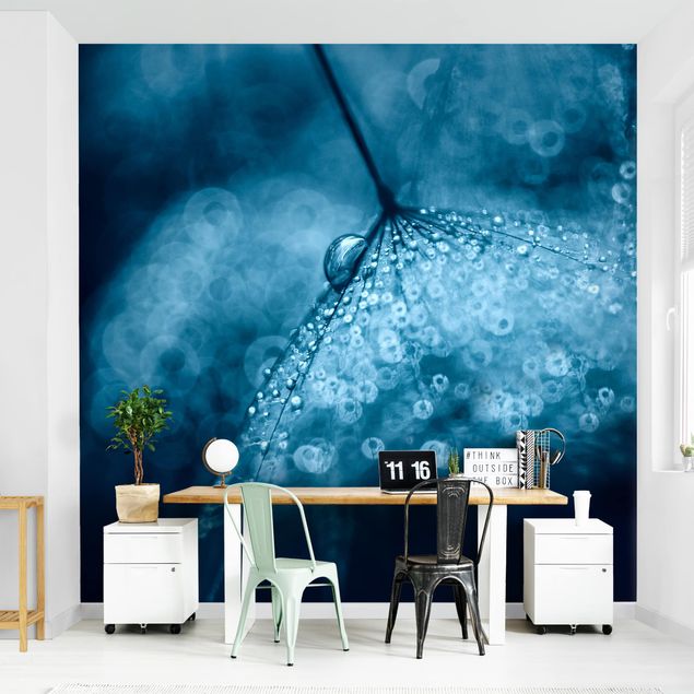 Wallpapers Blue Dandelion In The Rain
