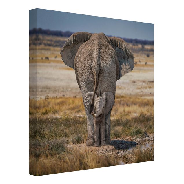 Print on canvas - Cheeky Elephant
